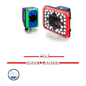 P3X