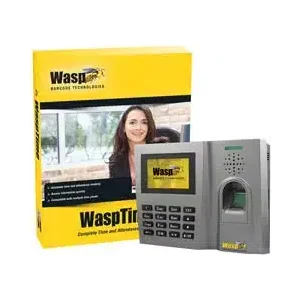 WaspTime